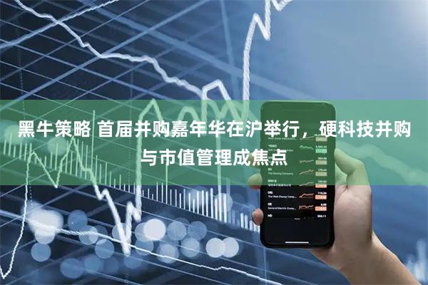 黑牛策略 首届并购嘉年华在沪举行，硬科技并购与市值管理成焦点