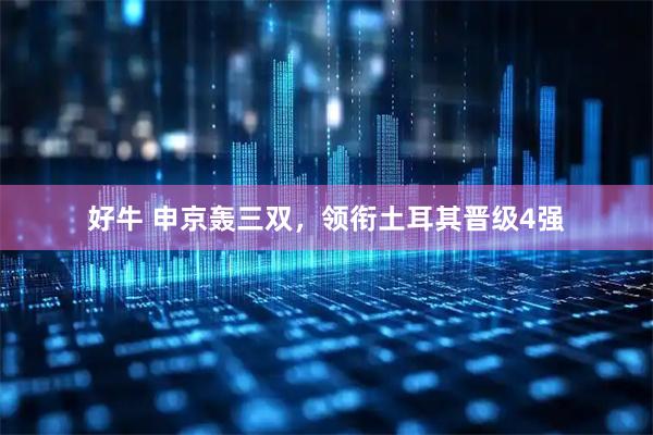 好牛 申京轰三双，领衔土耳其晋级4强