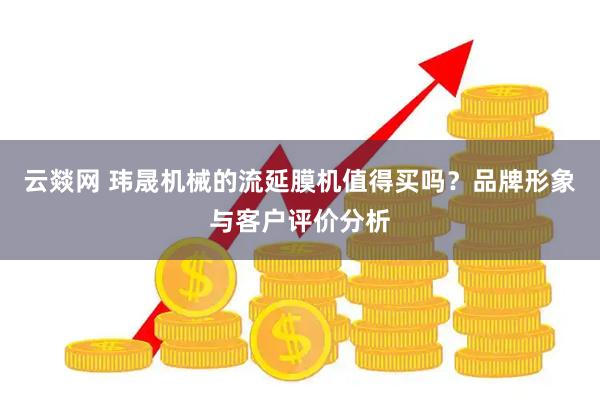云燚网 玮晟机械的流延膜机值得买吗？品牌形象与客户评价分析