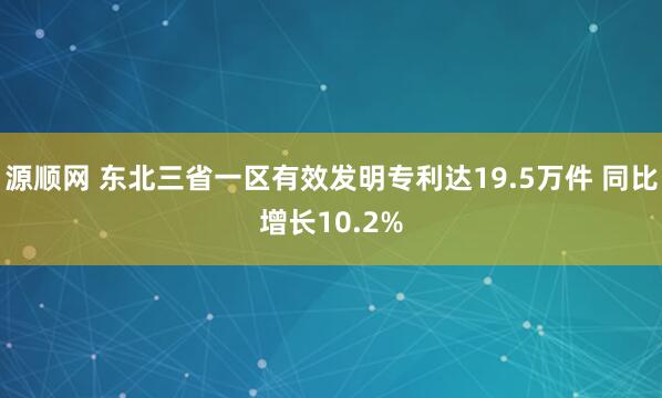 源顺网 东北三省一区有效发明专利达19.5万件 同比增长10.2%
