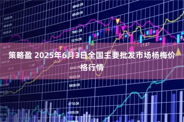 策略盈 2025年6月3日全国主要批发市场杨梅价格行情