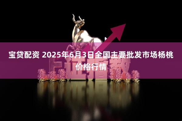 宝贷配资 2025年6月3日全国主要批发市场杨桃价格行情